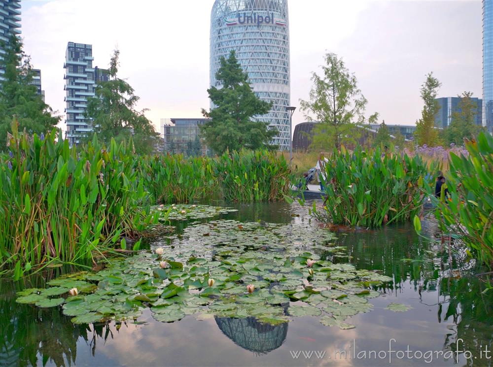 Milano - Laghetto della Biblioteca degli Alberi